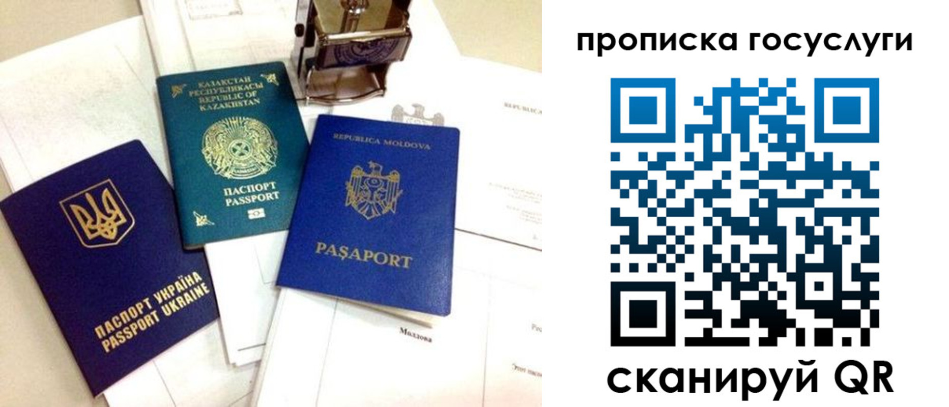 найти адрес прописки в Коле